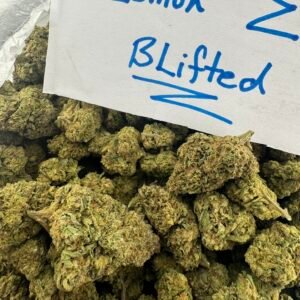 Lemon Z Mid Shelf 1000$ IB
