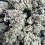 Halle Berry (Sativa) Top Shelf 1000$ IB