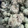La Pop Rockz (Indica) Top Shelf 1000$ IB
