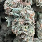 Double Dream (Sativa) Top Shelf 1000$ IB