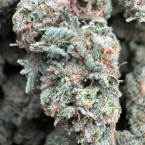 Double Dream (Sativa) Top Shelf 1000$ IB